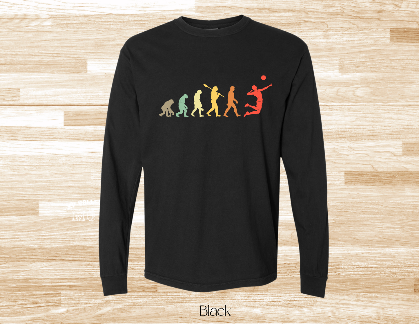 Volleyball Evolution