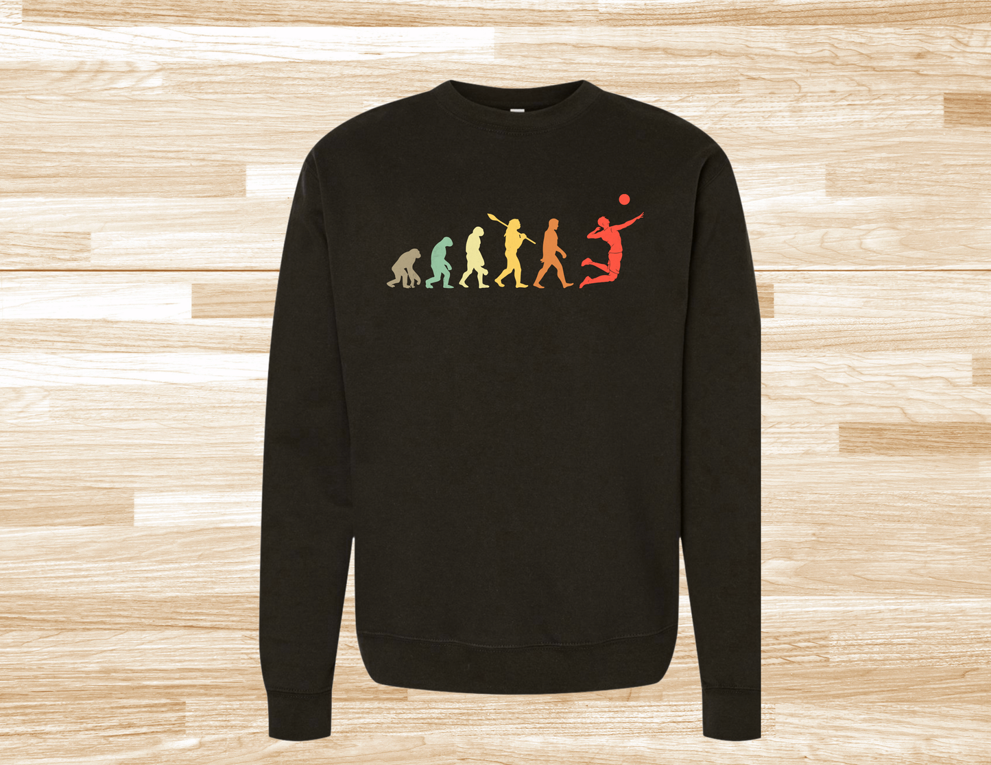 Volleyball Evolution